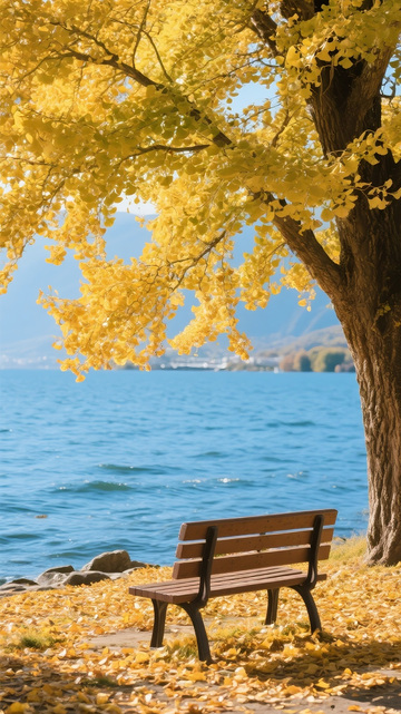 秋天水边的银杏树5