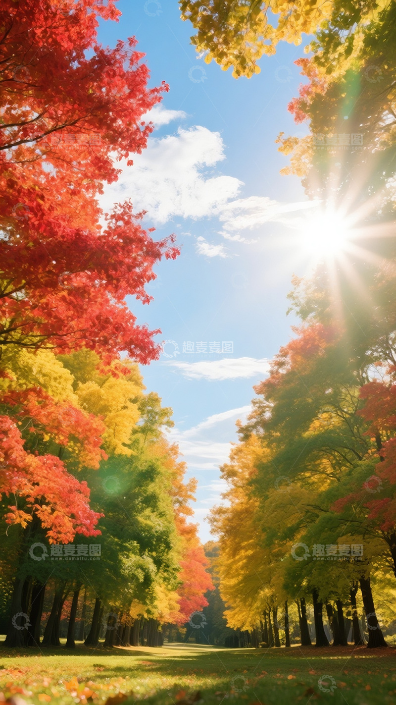 高清大图下载【趣麦麦图】秋天彩色的树4