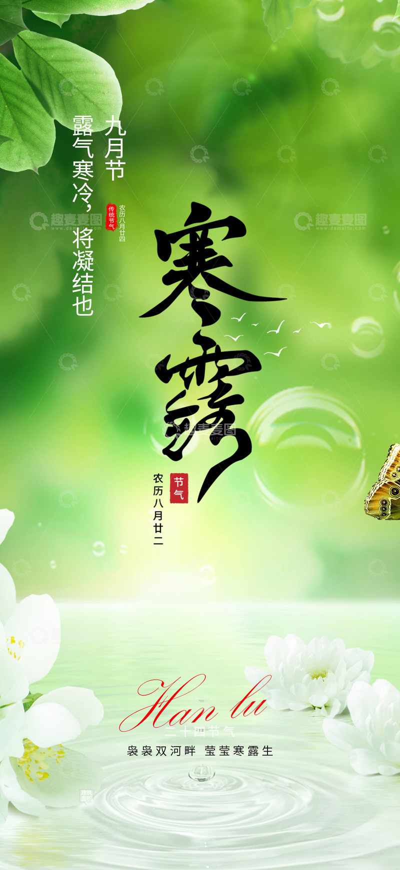 传统二十四节气寒露宣传海报12