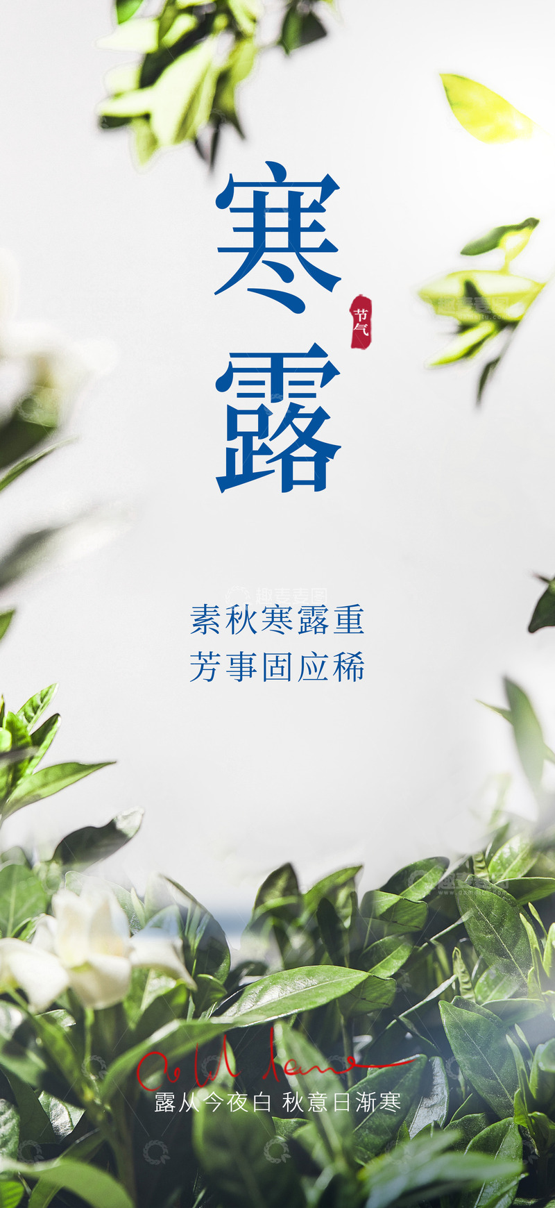 传统二十四节气寒露宣传海报