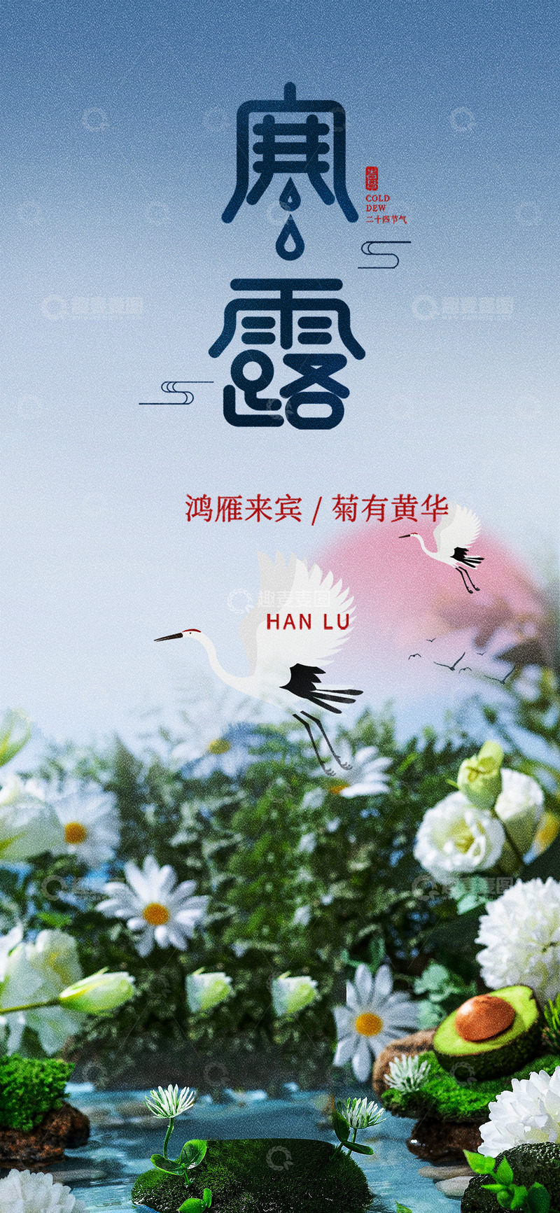 传统节气寒露宣传海报