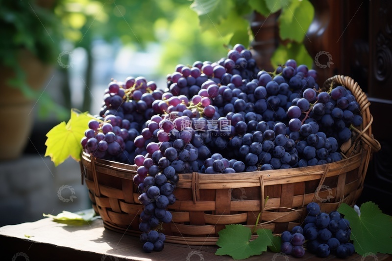 高清大图下载【趣麦麦图】一篮子紫色的葡萄1