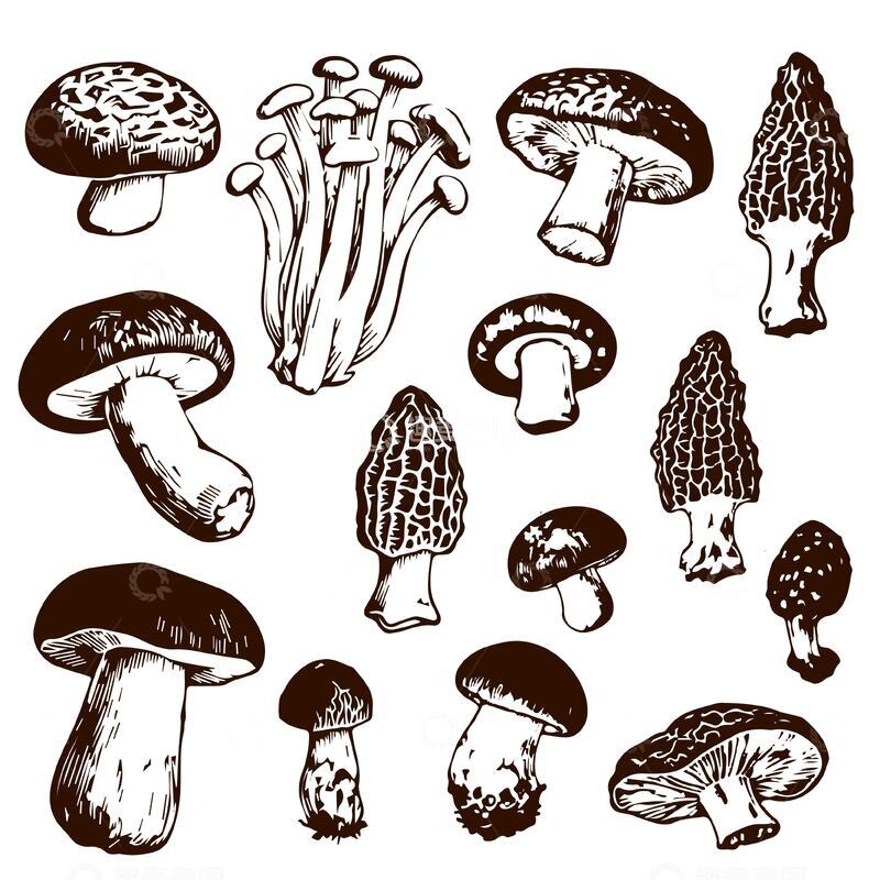 源文件下载【趣麦麦图】单色蘑菇版画矢量高清