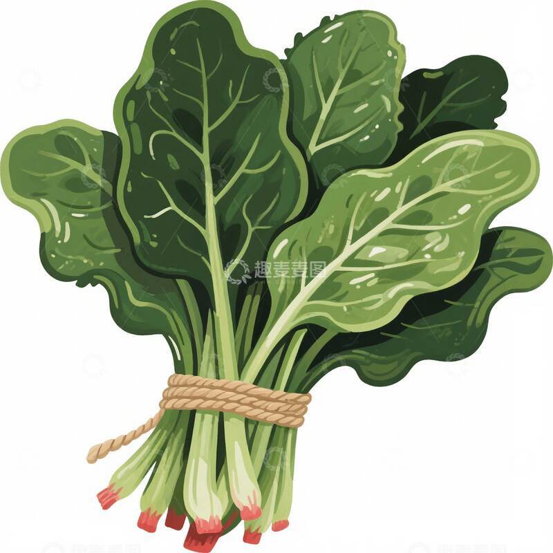 菠菜  软滑  嫩水  