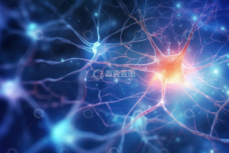 高清大图下载【趣麦麦图】神经细胞摄影