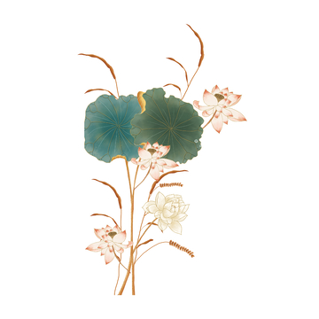 处暑白露荷叶荷花花朵草丛