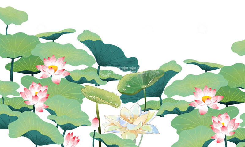 源文件下载【趣麦麦图】大暑处暑荷塘荷叶荷花花朵植物