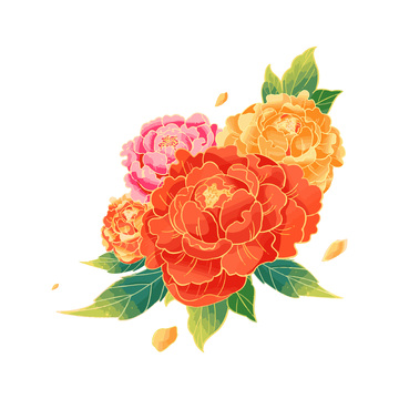 国庆节节日牡丹芍药花朵花卉花簇绿叶