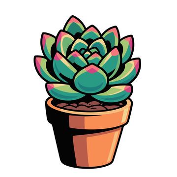 卡通多肉植物