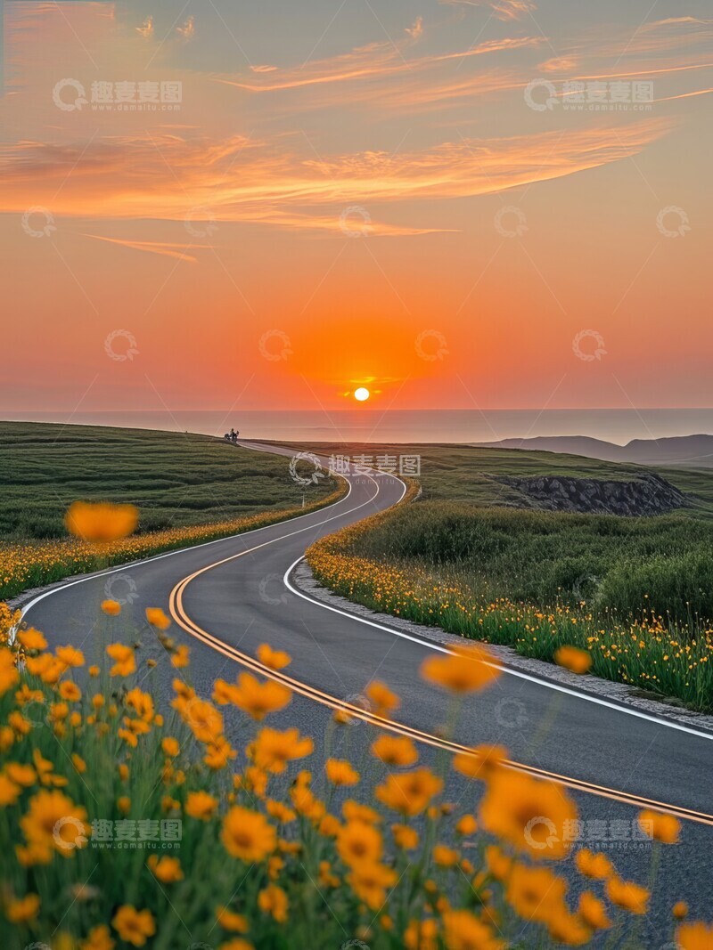 高清大图下载【趣麦麦图】户外公路野花落日风景