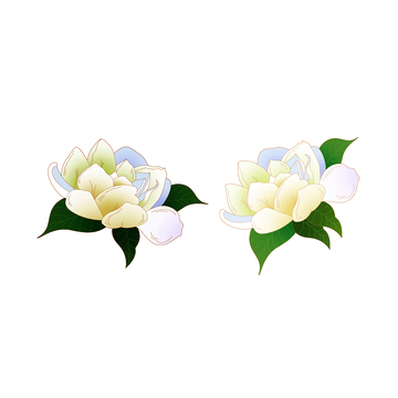 彩绘卡通栀子花花朵花苞花卉绿叶