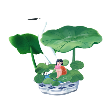 处暑荷叶莲叶植物瓷盆白鹭小女孩