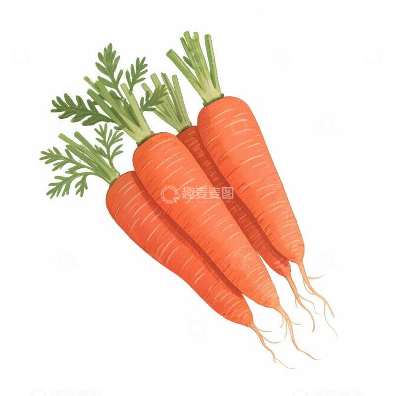 高清大图下载【趣麦麦图】胡萝卜  粉糯  沙甜  