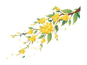 中秋节桂花花朵绿叶树叶叶子树枝