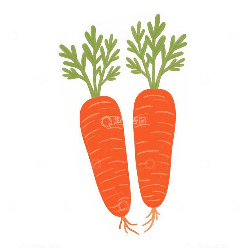 高清大图下载【趣麦麦图】胡萝卜  粉糯  脆汁