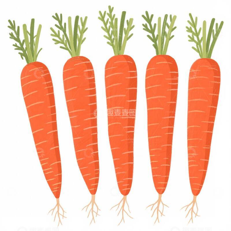 高清大图下载【趣麦麦图】胡萝卜  脆汁  绵软  