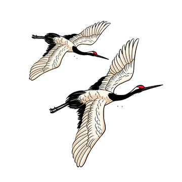 彩绘卡通丹顶鹤仙鹤飞鹤候鸟鸟类