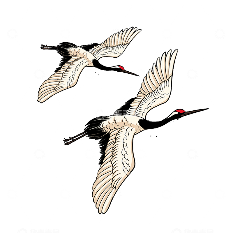 源文件下载【趣麦麦图】彩绘卡通丹顶鹤仙鹤飞鹤候鸟鸟类