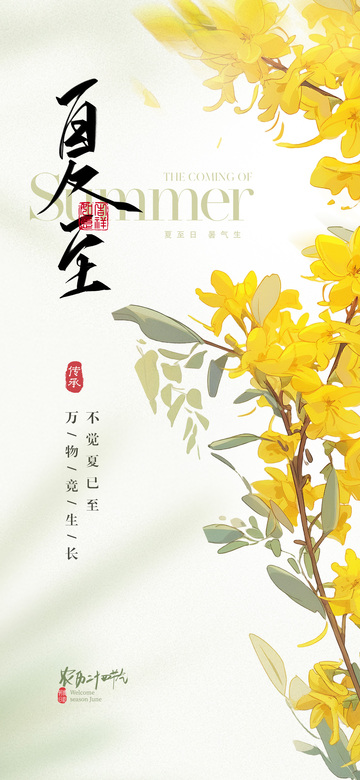 夏至二十四节气海报