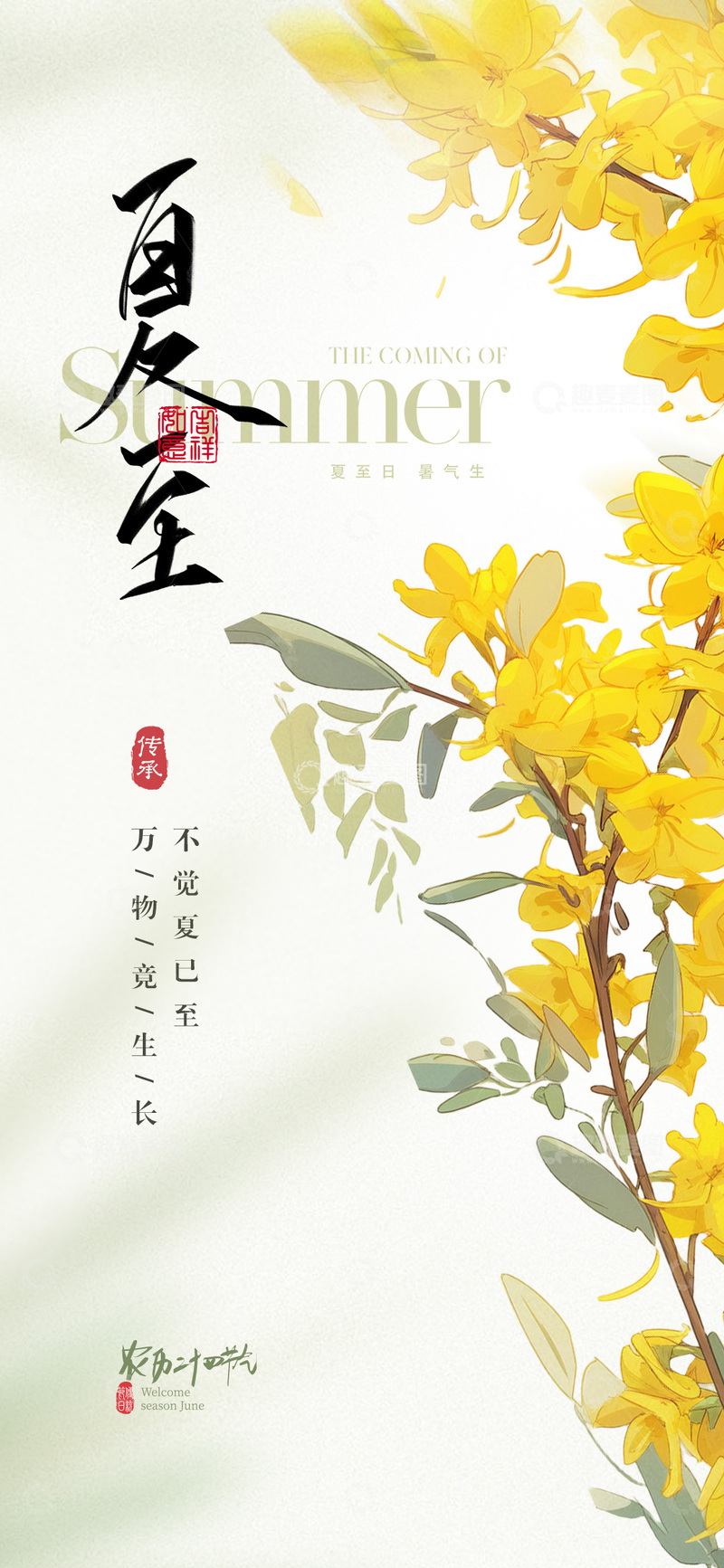 源文件下载【趣麦麦图】夏至二十四节气海报