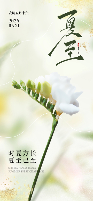夏至二十四节气海报