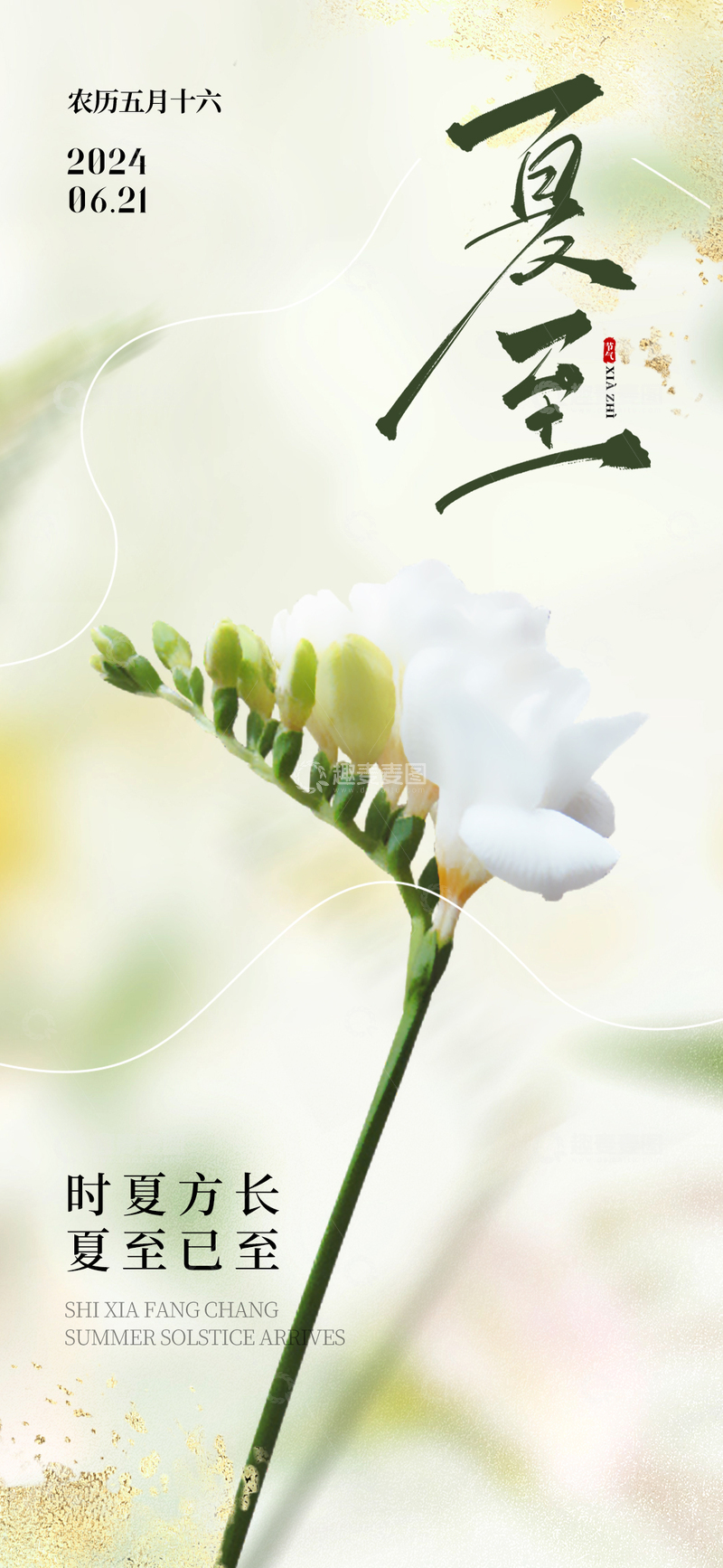 源文件下载【趣麦麦图】夏至二十四节气海报