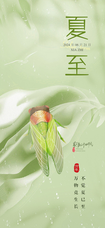 夏至二十四节气海报
