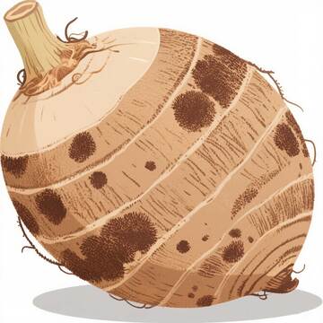 芋头  粉糯  醇厚 