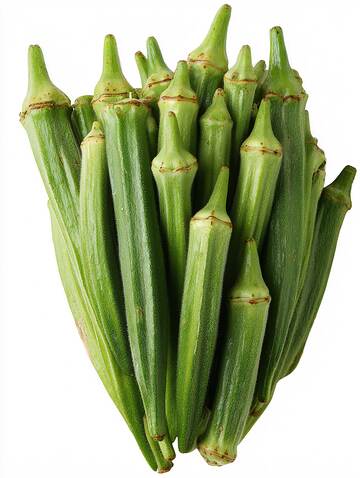 秋葵  嫩滑  绵黏 