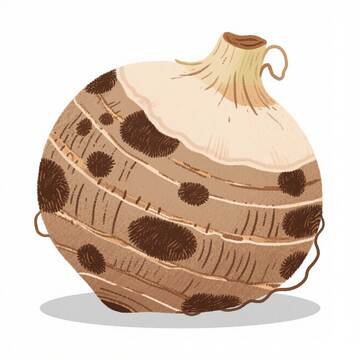 芋头  粉糯  细腻  