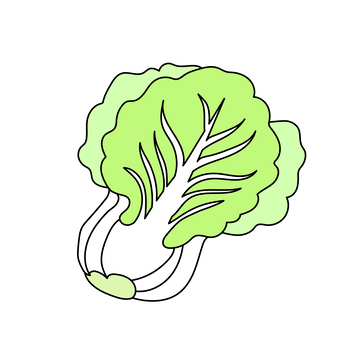 矢量插画白菜扁平插画