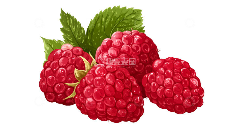 树莓素材免扣图