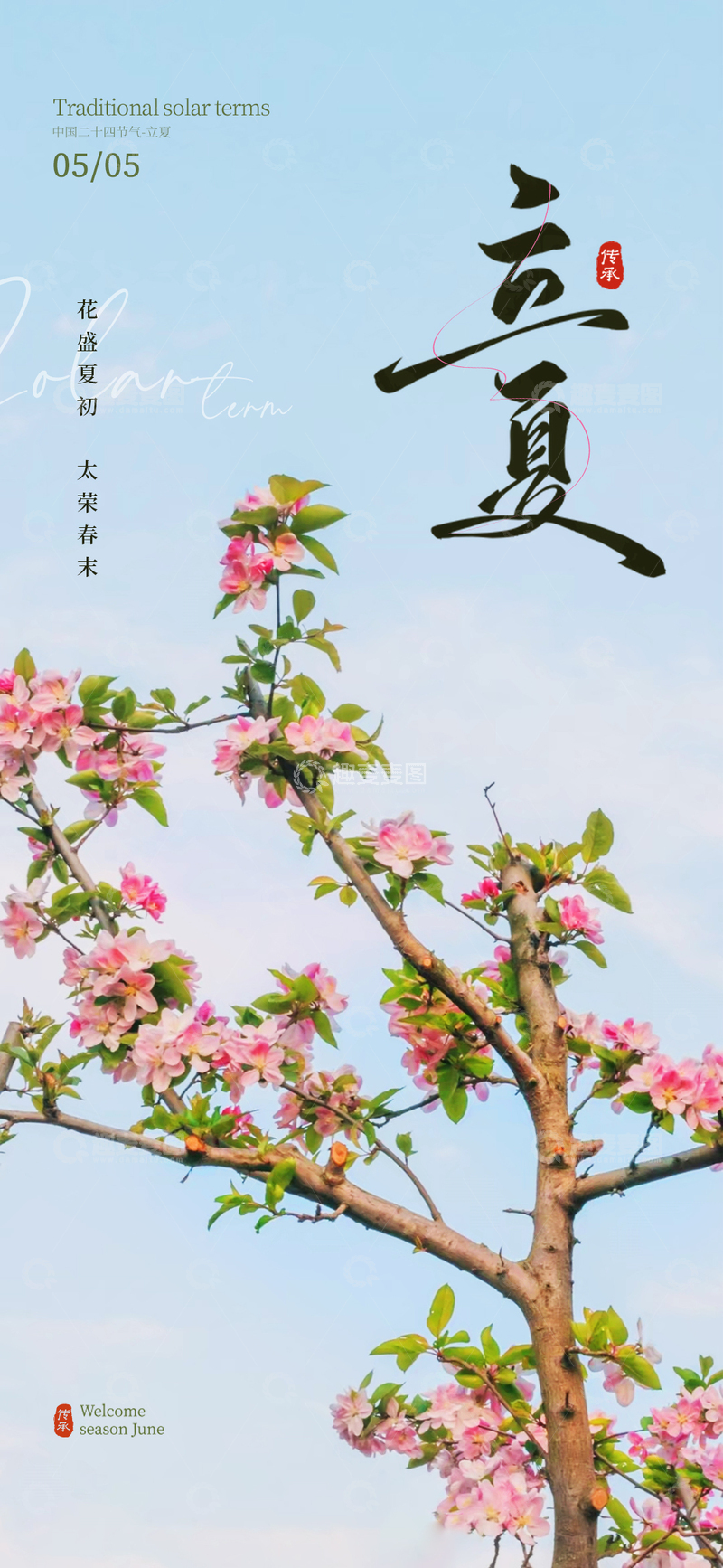 源文件下载【趣麦麦图】立夏二十四节气海报