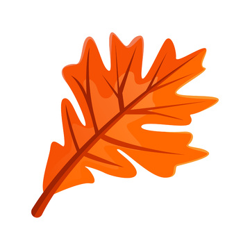 秋分节气枯叶落叶树叶叶子