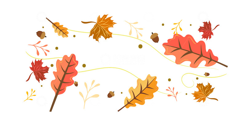 源文件下载【趣麦麦图】秋分节气秋叶落叶枯叶树叶橡果叶子