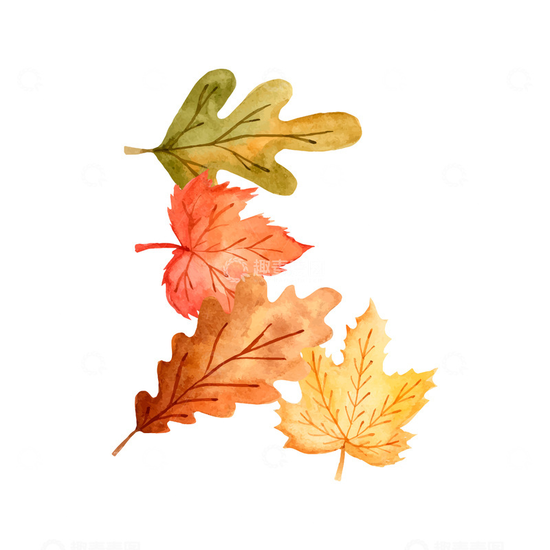 源文件下载【趣麦麦图】秋分节气树叶落叶叶子枯叶秋叶