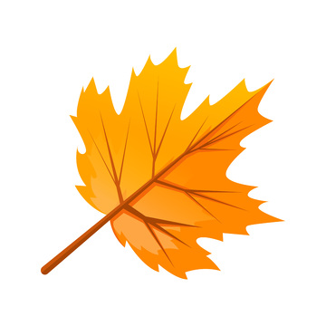 秋分节气枯叶落叶秋叶树叶叶子枫叶