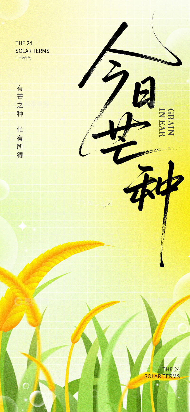 源文件下载【趣麦麦图】二十四节气芒种宣传海报