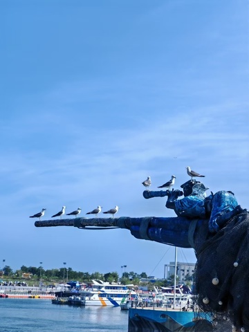 海盗船上的海鸥