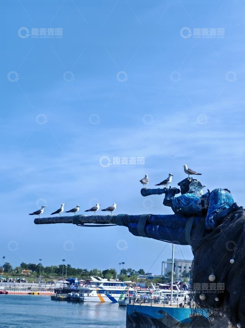 海盗船上的海鸥