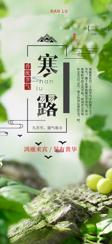 节气寒露创意宣传海报