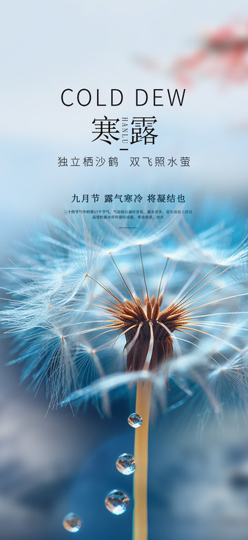 节日传统二十四节气寒露宣传海报