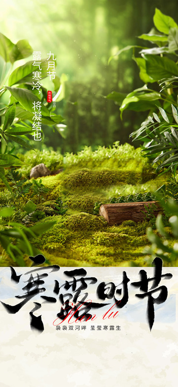 节气寒露创意宣传海报