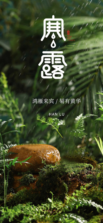 节气寒露创意宣传海报