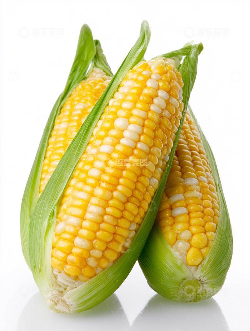 高清大图下载【趣麦麦图】-玉米  鲜嫩  颗粒