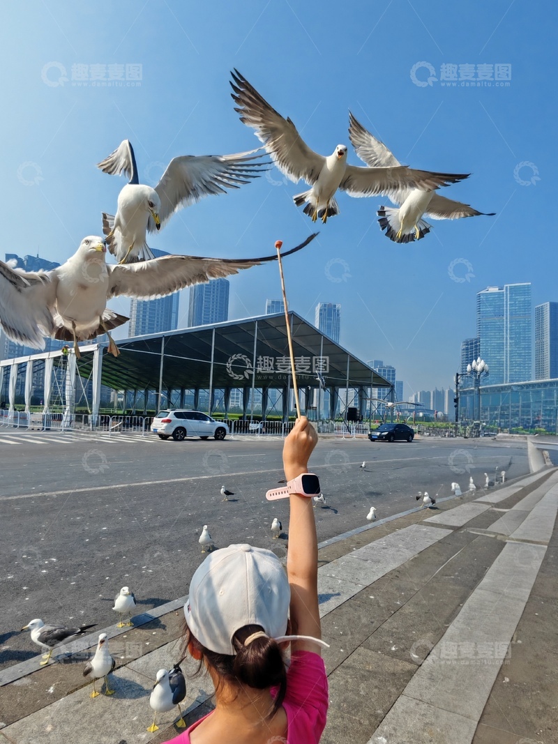 高清大图下载【趣麦麦图】大连星海公园