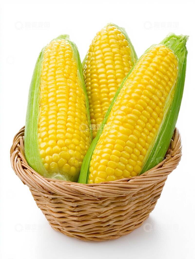 高清大图下载【趣麦麦图】玉米  油润  奶黄