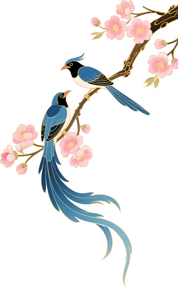 喜鹊花卉中式插画素材