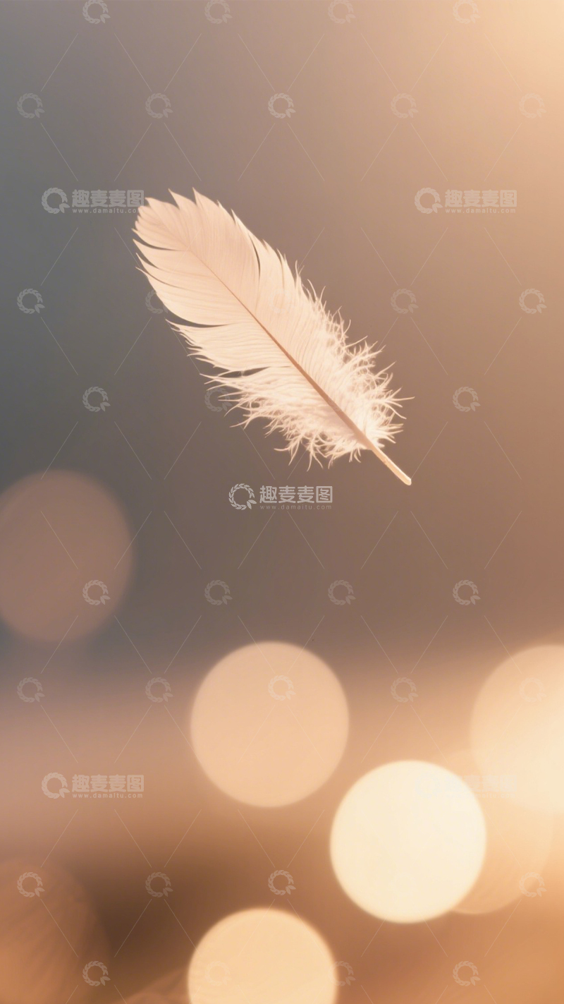 高清大图下载【趣麦麦图】羽毛轻舞光斑织梦幻1