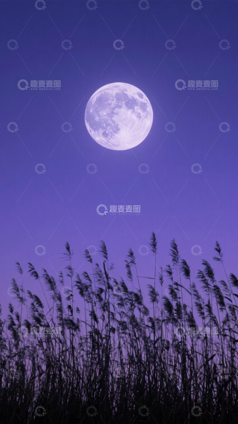 高清大图下载【趣麦麦图】静谧诗意夜景2